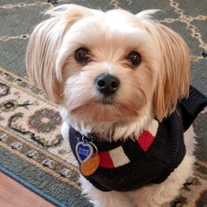 Meet your Posher, Karen